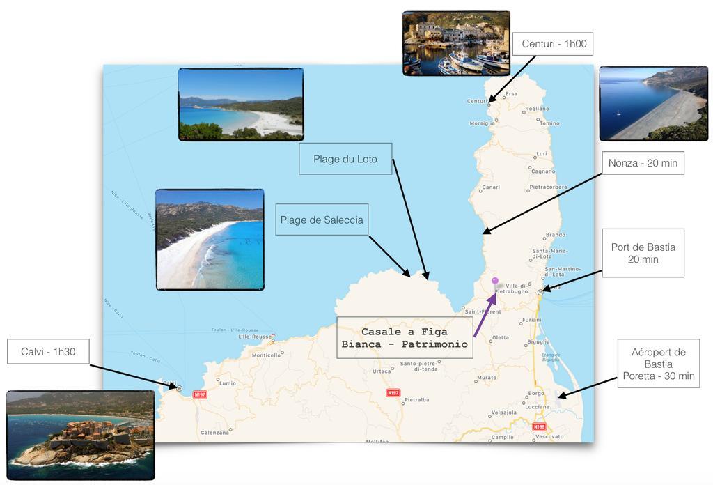 Casale A Figa Bianca Διαμέρισμα Patrimonio Εξωτερικό φωτογραφία